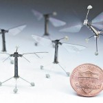 Universidade de Harvard e pesquisadores criaram micro robô que voa como os insetos