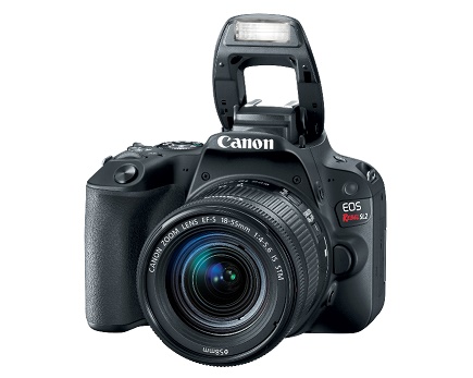 Câmera Canon EOS SL2 o lançamento 