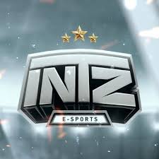 Logomarca da INTZ
