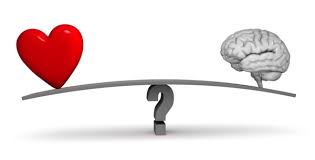 Cérebro e coração nem gangorra  inteligência emocional