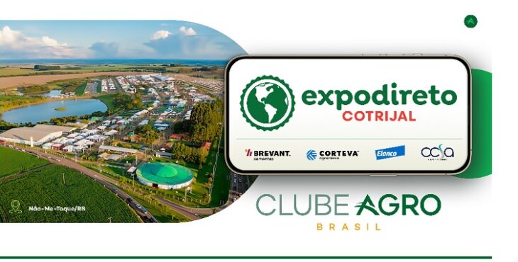 balan&ccedil;o do mercado