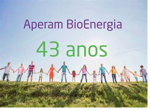 Aperam BioEnergia