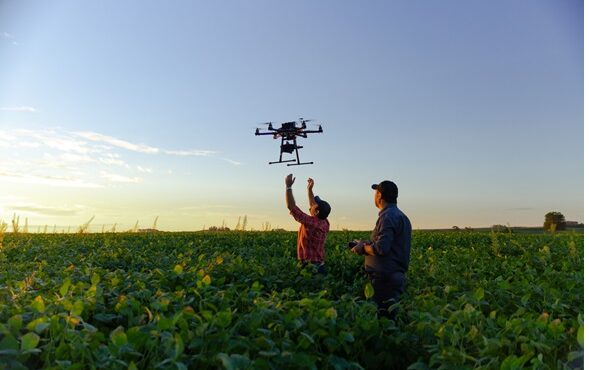 avi&otilde;es na agricultura
