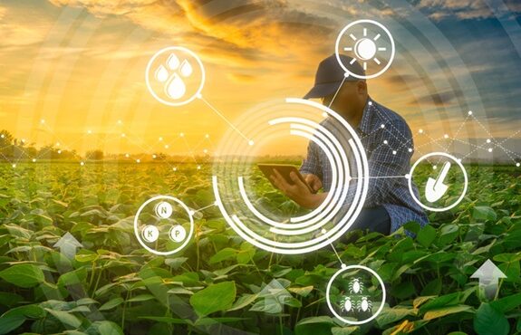 blockchain no agro