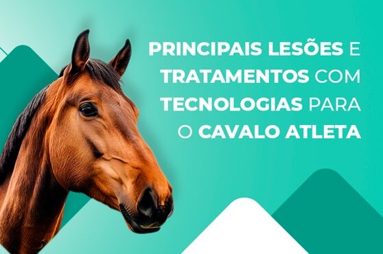 tratamento veterinário