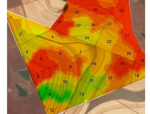 Aplica&ccedil;&atilde;o de adubo