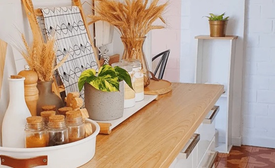 organiza&ccedil;&atilde;o da casa