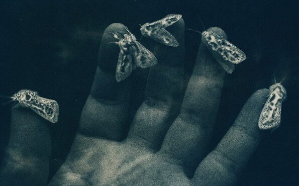 seis fot&oacute;grafos