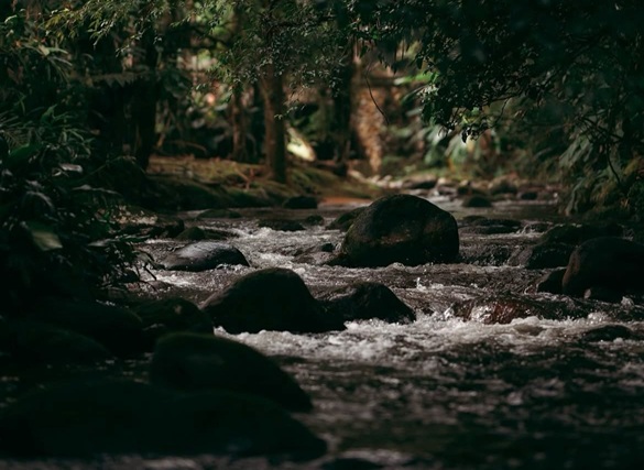 Água